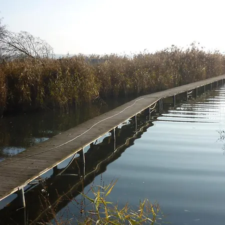 Amazing In Ot Wolzig With Wifi Heidesee